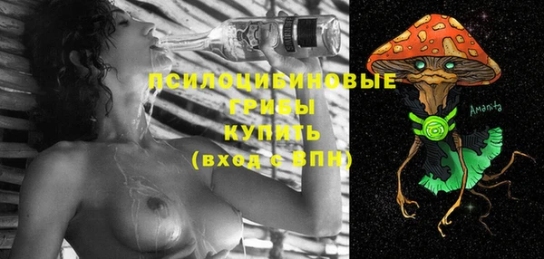 молекула духа Липки